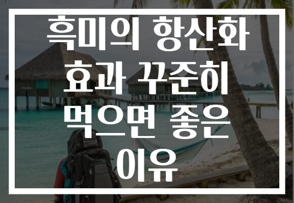 흑미의 항산화 효과 꾸준히 먹으면 좋은 이유
