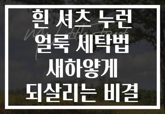 흰 셔츠 누런 얼룩 세탁법 새하얗게 되살리는 비결