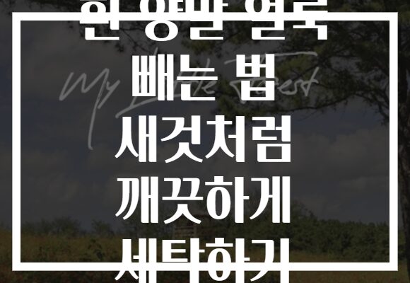 흰 양말 얼룩 빼는 법 새것처럼 깨끗하게 세탁하기