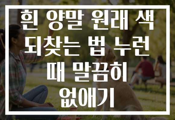 흰 양말 원래 색 되찾는 법 누런 때 말끔히 없애기