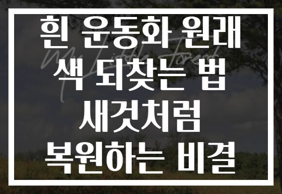 흰 운동화 원래 색 되찾는 법 새것처럼 복원하는 비결
