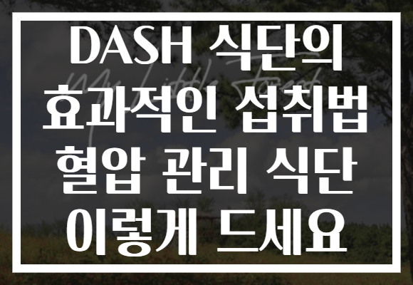 DASH 식단의 효과적인 섭취법 혈압 관리 식단 이렇게 드세요