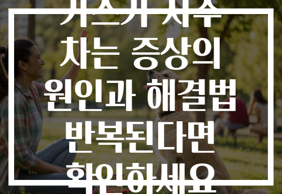 가스가 자주 차는 증상의 원인과 해결법 반복된다면 확인하세요
