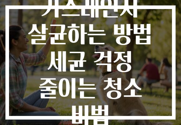 가스레인지 살균하는 방법 세균 걱정 줄이는 청소 비법