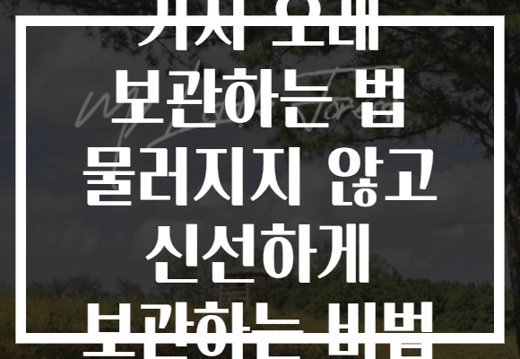 가지 오래 보관하는 법 물러지지 않고 신선하게 보관하는 비법