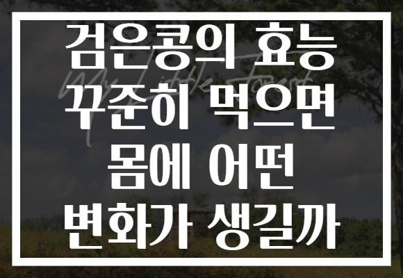 검은콩의 효능 꾸준히 먹으면 몸에 어떤 변화가 생길까