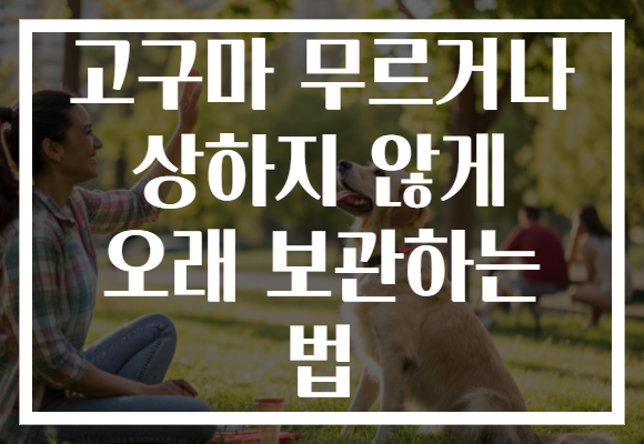 고구마 무르거나 상하지 않게 오래 보관하는 법