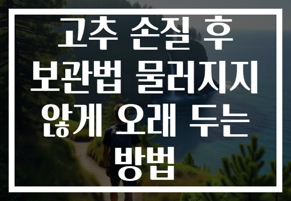 고추 손질 후 보관법 물러지지 않게 오래 두는 방법
