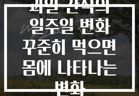 과일 간식의 일주일 변화 꾸준히 먹으면 몸에 나타나는 변화