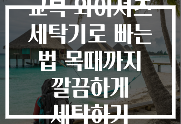 교복 와이셔츠 세탁기로 빠는 법 목때까지 깔끔하게 세탁하기