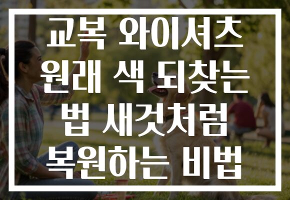 교복 와이셔츠 원래 색 되찾는 법 새것처럼 복원하는 비법