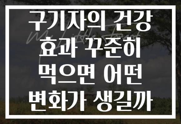 구기자의 건강 효과 꾸준히 먹으면 어떤 변화가 생길까