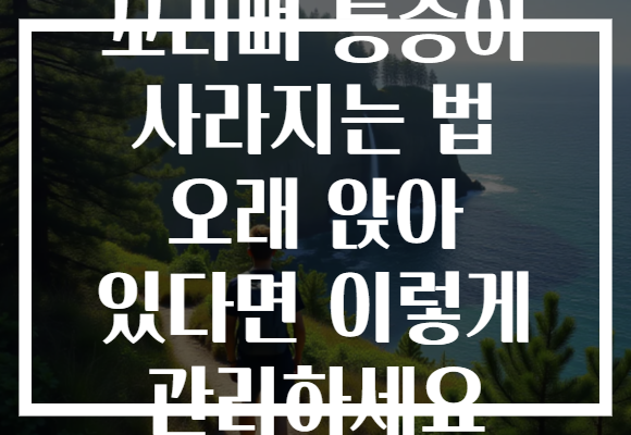 꼬리뼈 통증이 사라지는 법 오래 앉아 있다면 이렇게 관리하세요