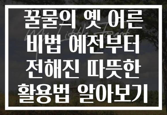 꿀물의 옛 어른 비법 예전부터 전해진 따뜻한 활용법 알아보기