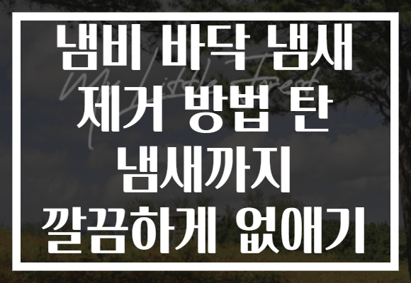 냄비 바닥 냄새 제거 방법 탄 냄새까지 깔끔하게 없애기