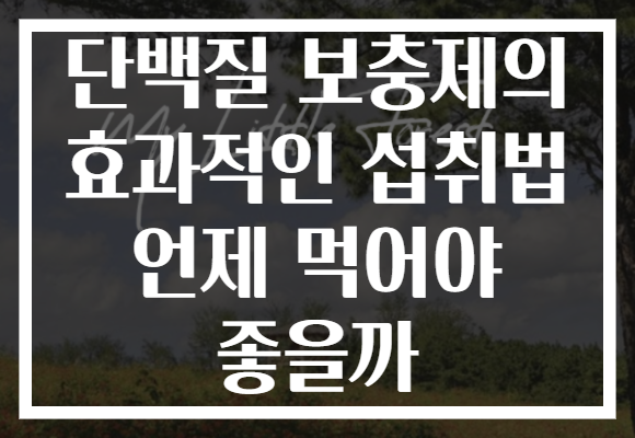 단백질 보충제의 효과적인 섭취법 언제 먹어야 좋을까