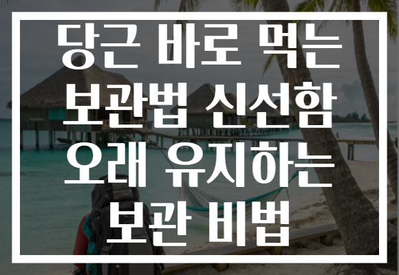 당근 바로 먹는 보관법 신선함 오래 유지하는 보관 비법