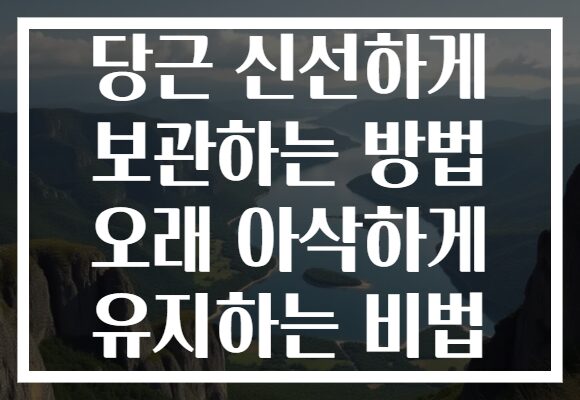 당근 신선하게 보관하는 방법 오래 아삭하게 유지하는 비법