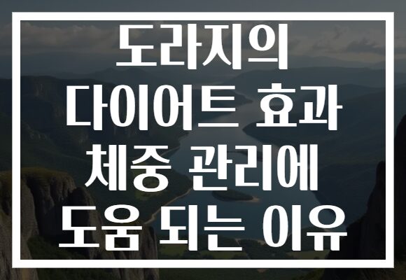 도라지의 다이어트 효과 체중 관리에 도움 되는 이유