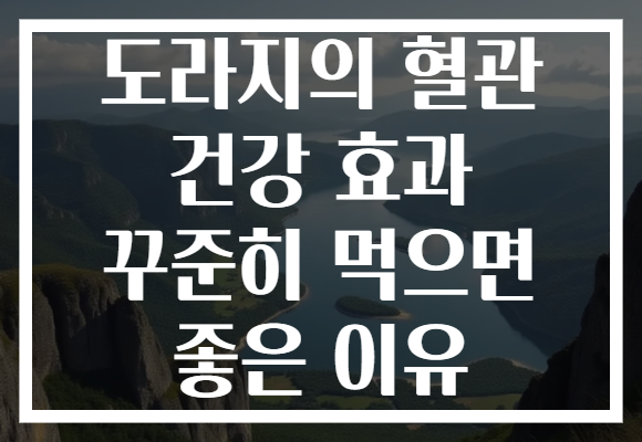 도라지의 혈관 건강 효과 꾸준히 먹으면 좋은 이유