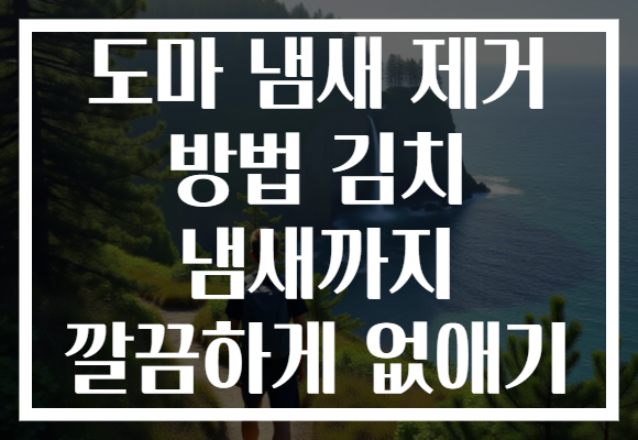 도마 냄새 제거 방법 김치 냄새까지 깔끔하게 없애기