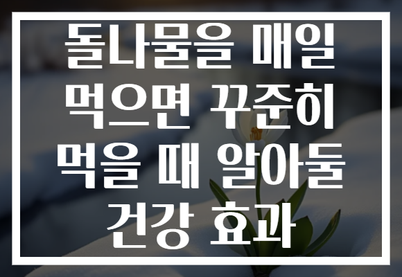 돌나물을 매일 먹으면 꾸준히 먹을 때 알아둘 건강 효과