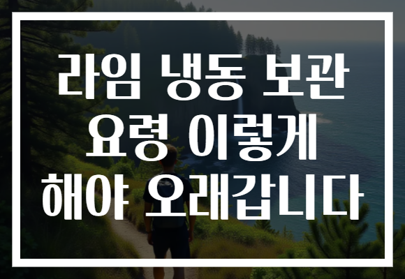 라임 냉동 보관 요령 이렇게 해야 오래갑니다