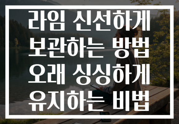 라임 신선하게 보관하는 방법 오래 싱싱하게 유지하는 비법