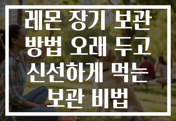 레몬 장기 보관 방법 오래 두고 신선하게 먹는 보관 비법