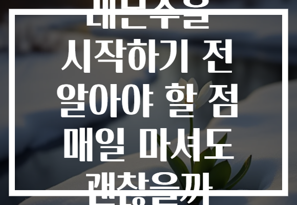 레몬수을 시작하기 전 알아야 할 점 매일 마셔도 괜찮을까