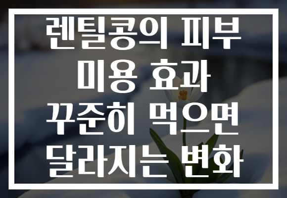 렌틸콩의 피부 미용 효과 꾸준히 먹으면 달라지는 변화