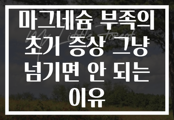 마그네슘 부족의 초기 증상 그냥 넘기면 안 되는 이유