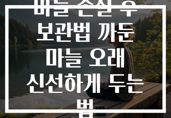 마늘 손질 후 보관법 까둔 마늘 오래 신선하게 두는 법