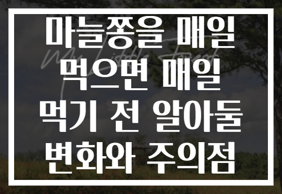 마늘쫑을 매일 먹으면 매일 먹기 전 알아둘 변화와 주의점