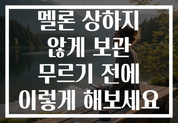 멜론 상하지 않게 보관 무르기 전에 이렇게 해보세요