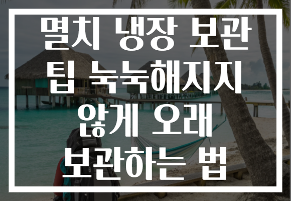 멸치 냉장 보관 팁 눅눅해지지 않게 오래 보관하는 법