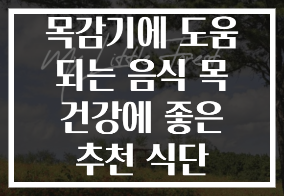 목감기에 도움 되는 음식 목 건강에 좋은 추천 식단