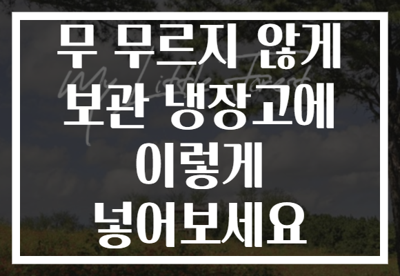 무 무르지 않게 보관 냉장고에 이렇게 넣어보세요