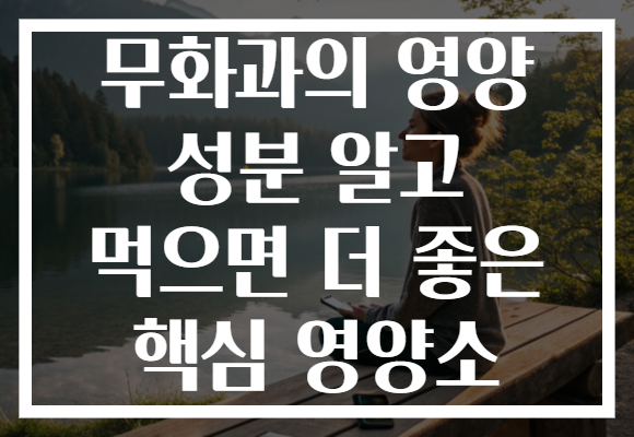 무화과의 영양 성분 알고 먹으면 더 좋은 핵심 영양소
