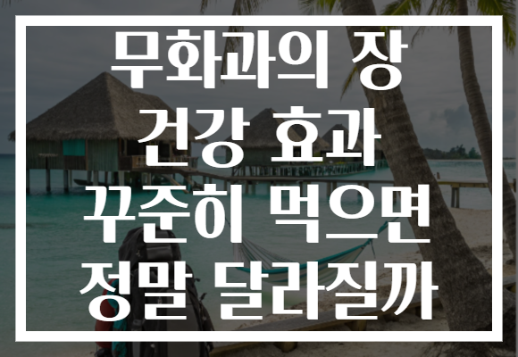 무화과의 장 건강 효과 꾸준히 먹으면 정말 달라질까