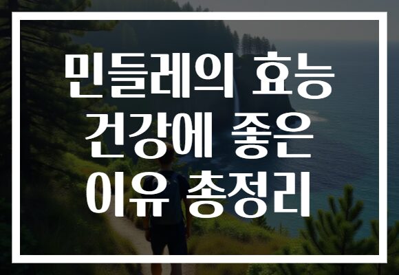 민들레의 효능 건강에 좋은 이유 총정리