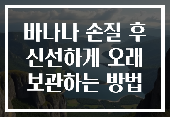 바나나 손질 후 신선하게 오래 보관하는 방법