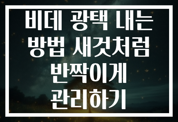 비데 광택 내는 방법 새것처럼 반짝이게 관리하기