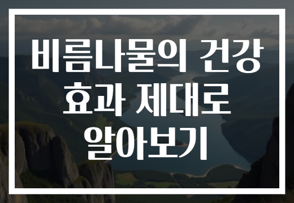 비름나물의 건강 효과 제대로 알아보기