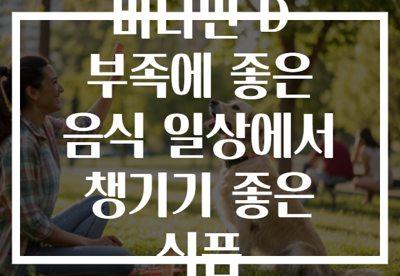 비타민 D 부족에 좋은 음식 일상에서 챙기기 좋은 식품