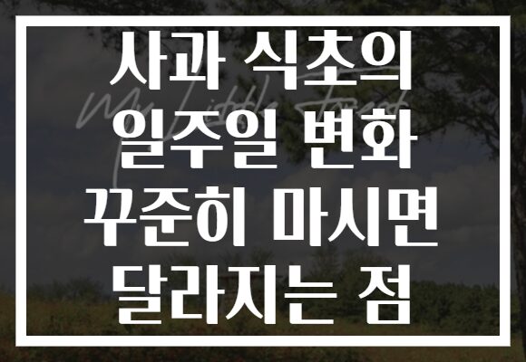 사과 식초의 일주일 변화 꾸준히 마시면 달라지는 점