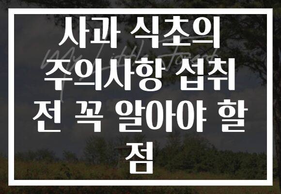 사과 식초의 주의사항 섭취 전 꼭 알아야 할 점