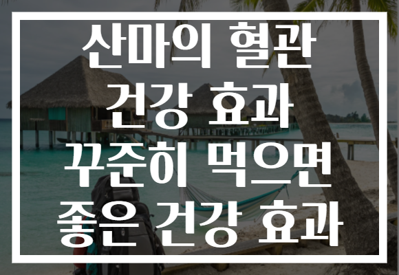 산마의 혈관 건강 효과 꾸준히 먹으면 좋은 건강 효과