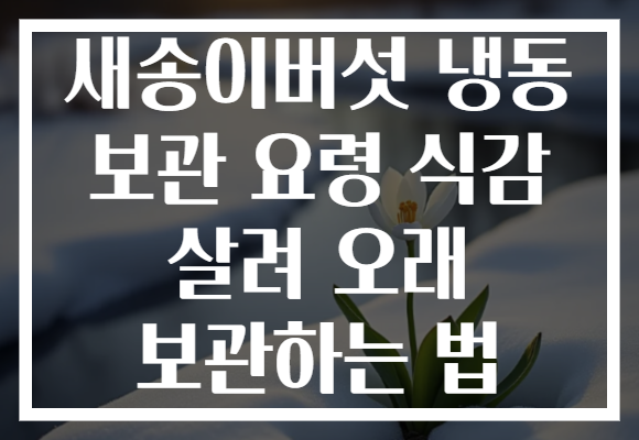 새송이버섯 냉동 보관 요령 식감 살려 오래 보관하는 법