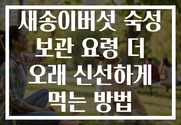 새송이버섯 숙성 보관 요령 더 오래 신선하게 먹는 방법